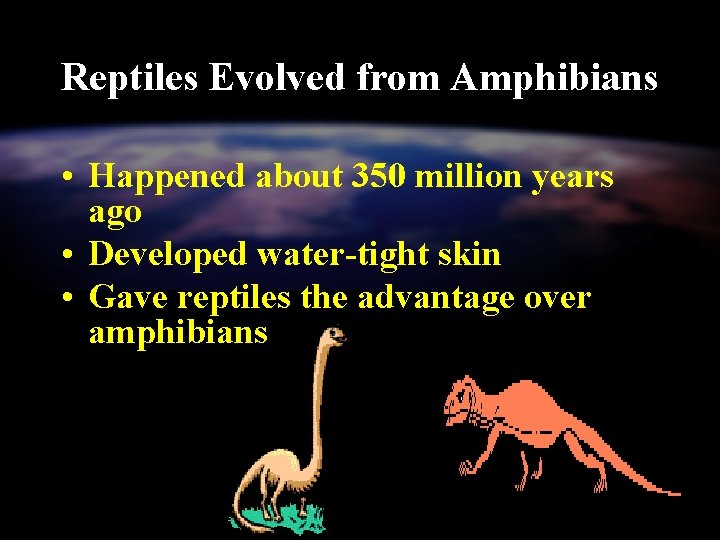 Reptiles Evolved from Amphibians • Happened about 350 million years ago • Developed water-tight