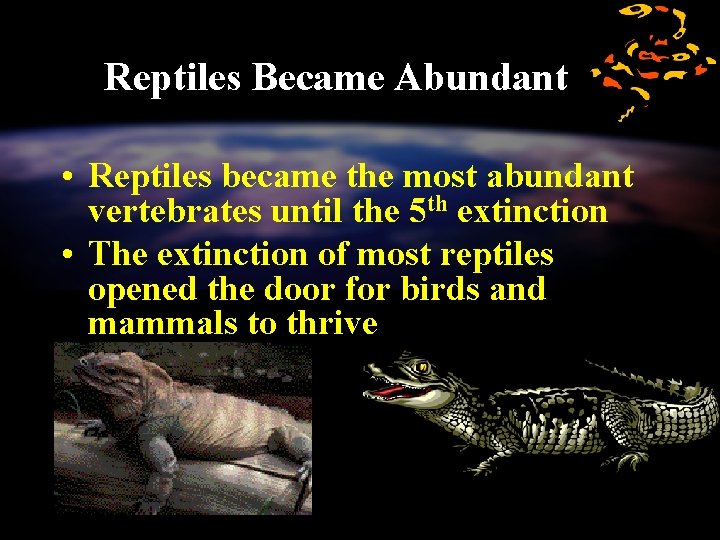 Reptiles Became Abundant • Reptiles became the most abundant vertebrates until the 5 th