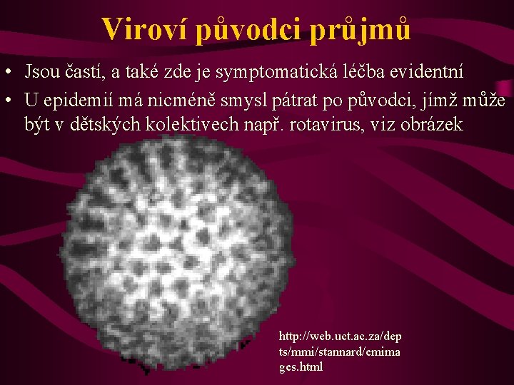 Viroví původci průjmů • Jsou častí, a také zde je symptomatická léčba evidentní •