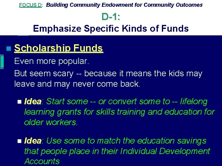 FOCUS D: Building Community Endowment for Community Outcomes D-1: Emphasize Specific Kinds of Funds