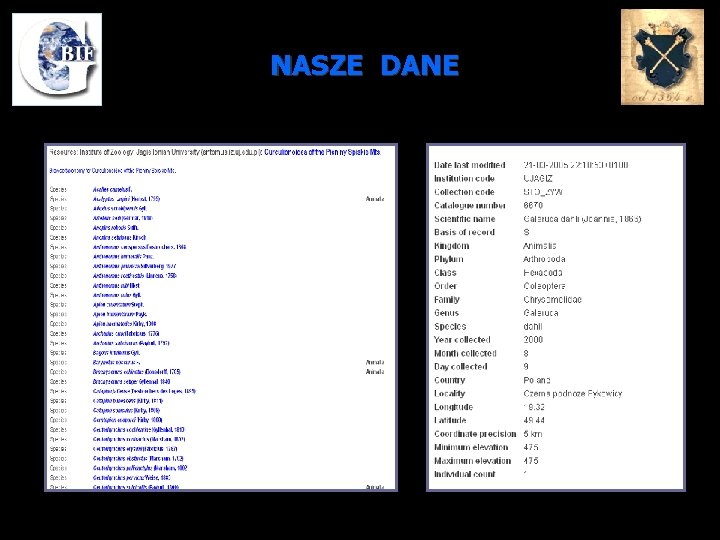 NASZE DANE 6/15/2021 8 