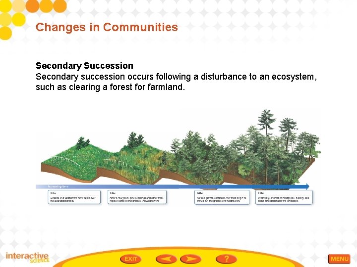 Changes in Communities Secondary Succession Secondary succession occurs following a disturbance to an ecosystem,