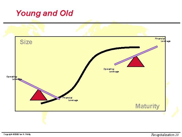 Young and Old Financial Leverage Size Operating Leverage Financial Leverage Maturity Copyright © 2000