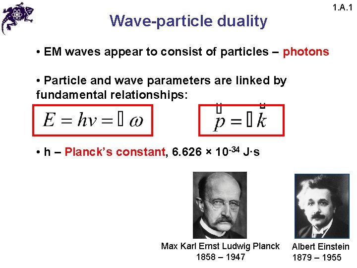 1. A. 1 Wave-particle duality • EM waves appear to consist of particles –