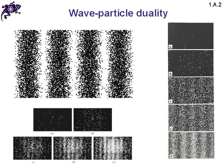 Wave-particle duality 1. A. 2 