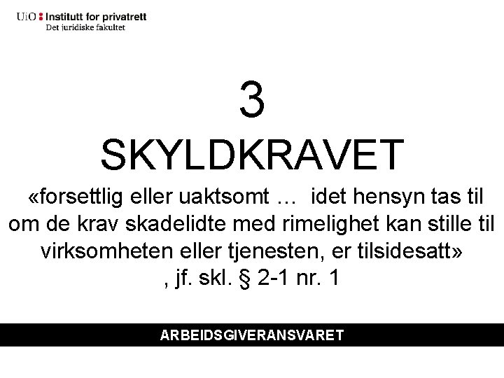 3 SKYLDKRAVET «forsettlig eller uaktsomt … idet hensyn tas til om de krav skadelidte