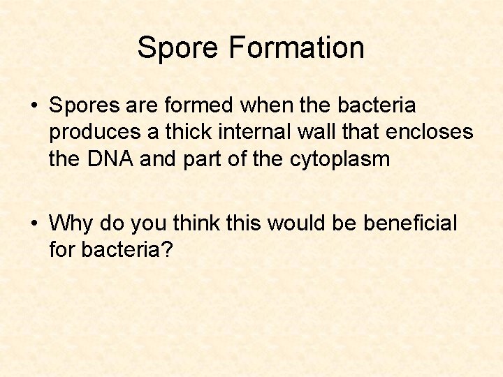 Spore Formation • Spores are formed when the bacteria produces a thick internal wall
