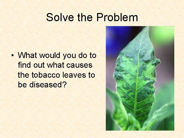 Solve the Problem • What would you do to find out what causes the