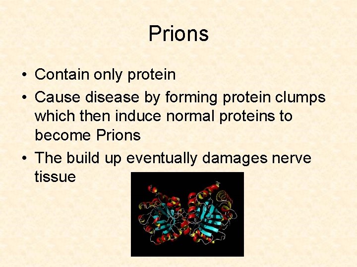 Prions • Contain only protein • Cause disease by forming protein clumps which then