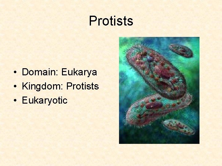 Protists • Domain: Eukarya • Kingdom: Protists • Eukaryotic 