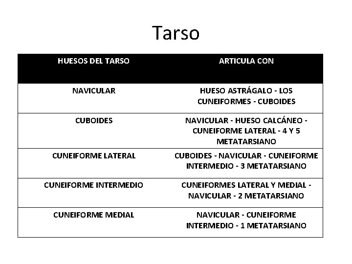 Tarso HUESOS DEL TARSO ARTICULA CON NAVICULAR HUESO ASTRÁGALO - LOS CUNEIFORMES - CUBOIDES