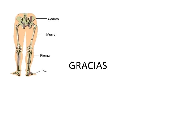 GRACIAS 