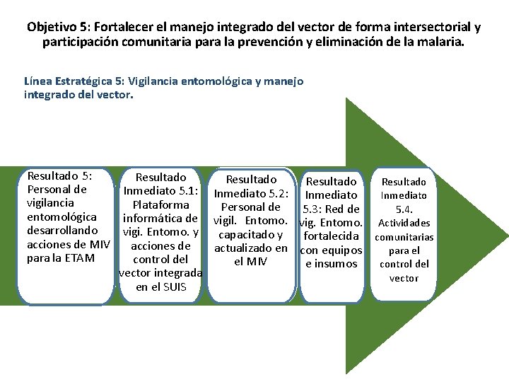 Objetivo 5: Fortalecer el manejo integrado del vector de forma intersectorial y participación comunitaria