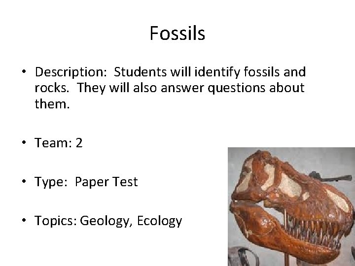 Fossils • Description: Students will identify fossils and rocks. They will also answer questions