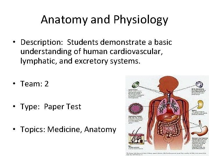 Anatomy and Physiology • Description: Students demonstrate a basic understanding of human cardiovascular, lymphatic,