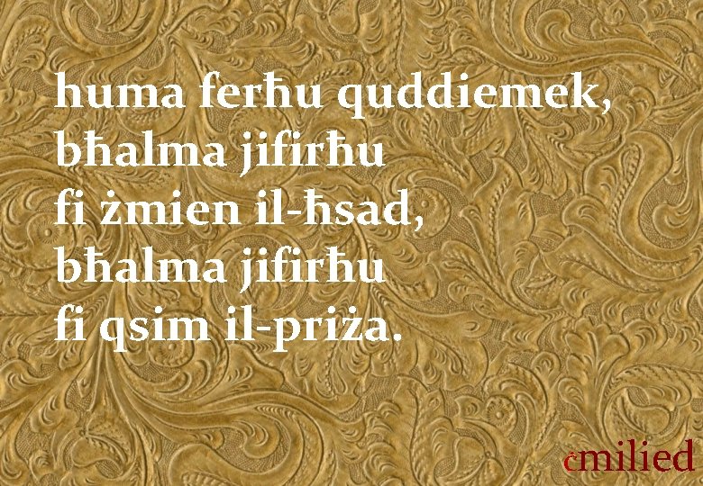 huma ferħu quddiemek, bħalma jifirħu fi żmien il-ħsad, bħalma jifirħu fi qsim il-priża. Ċ