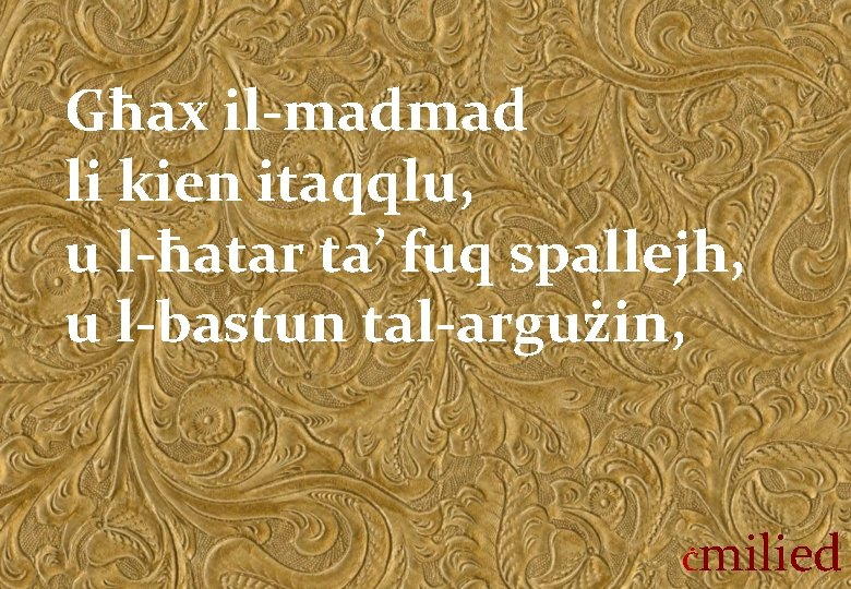 Għax il-madmad li kien itaqqlu, u l-ħatar ta’ fuq spallejh, u l-bastun tal-argużin, Ċ