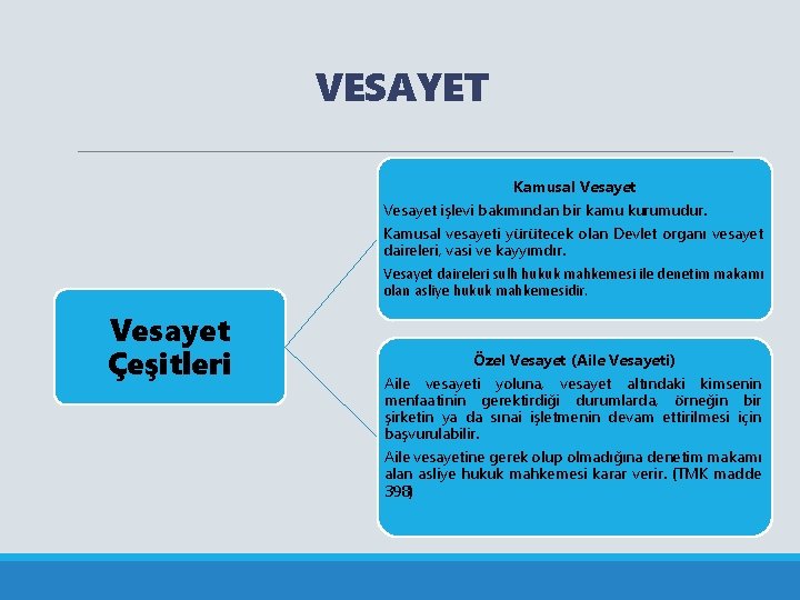 VESAYET Kamusal Vesayet işlevi bakımından bir kamu kurumudur. Kamusal vesayeti yürütecek olan Devlet organı