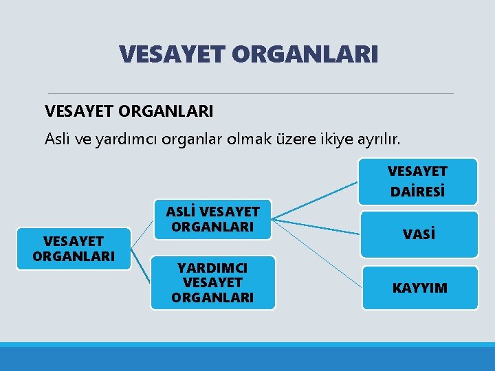 VESAYET ORGANLARI Asli ve yardımcı organlar olmak üzere ikiye ayrılır. VESAYET DAİRESİ VESAYET ORGANLARI