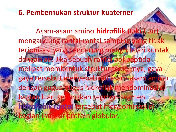 6. Pembentukan struktur kuaterner Asam-asam amino hidrofilik (takut air) mengandung rantai-rantai samping yang tidak