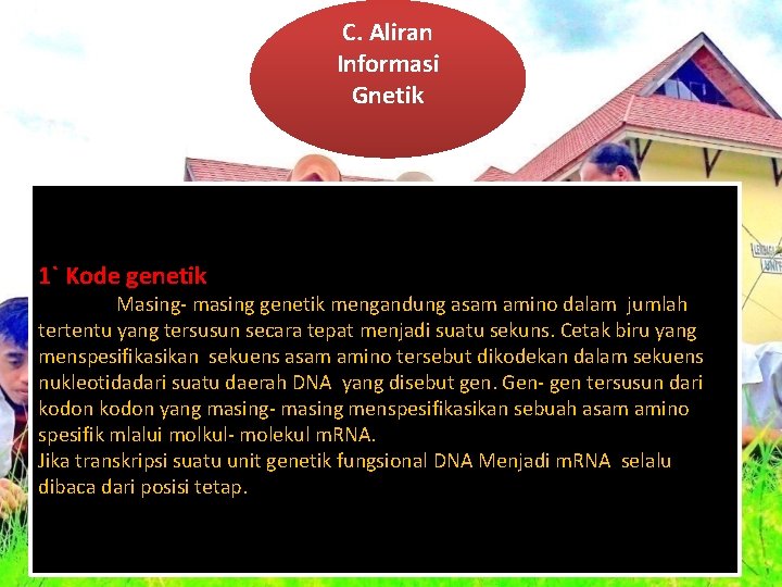 C. Aliran Informasi Gnetik 1` Kode genetik Masing- masing genetik mengandung asam amino dalam