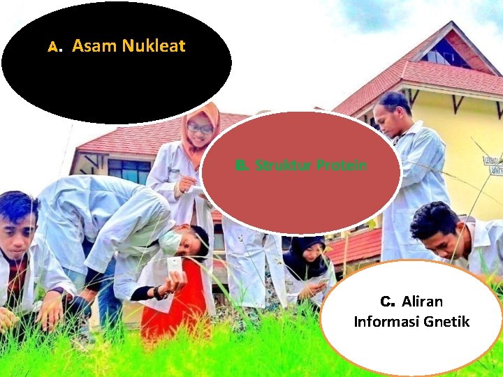 A. Asam Nukleat B. Struktur Protein C. Aliran Informasi Gnetik 