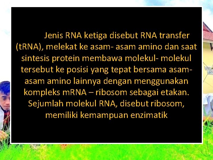 Jenis RNA ketiga disebut RNA transfer (t. RNA), melekat ke asam- asam amino dan