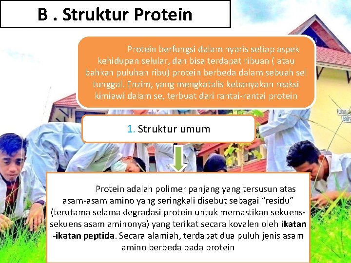 B. Struktur Protein berfungsi dalam nyaris setiap aspek kehidupan selular, dan bisa terdapat ribuan