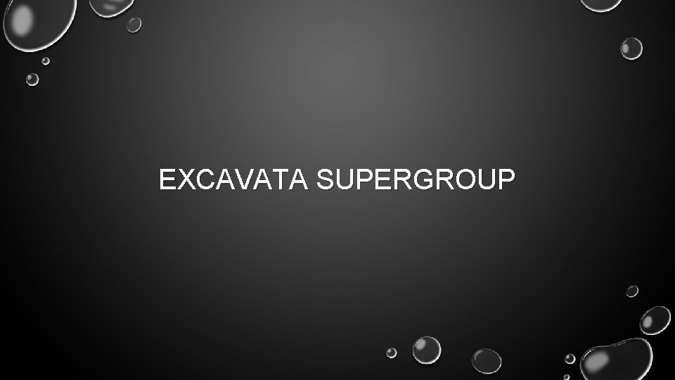 EXCAVATA SUPERGROUP 