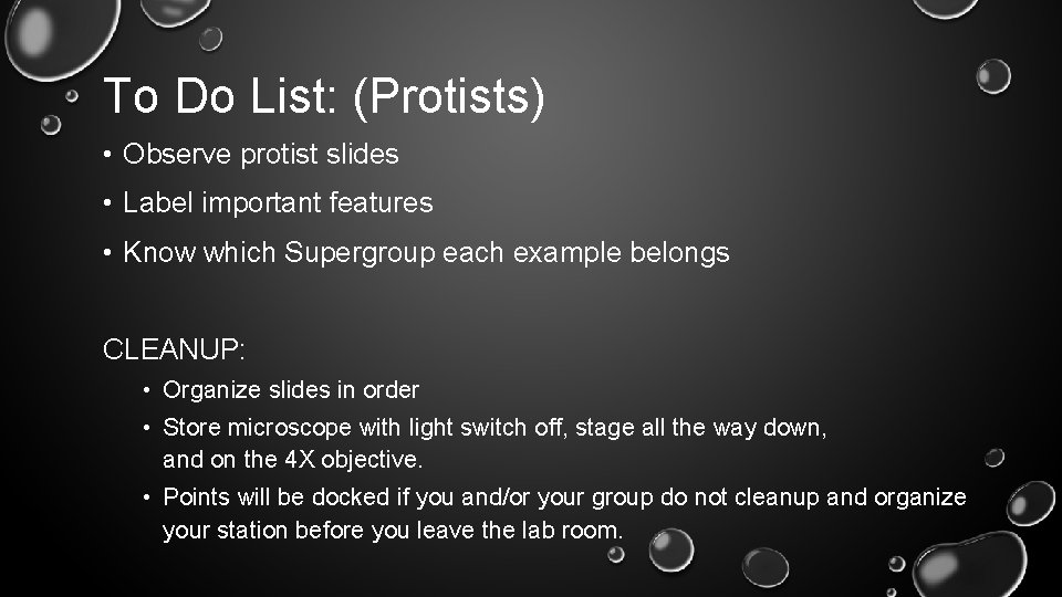 To Do List: (Protists) • Observe protist slides • Label important features • Know