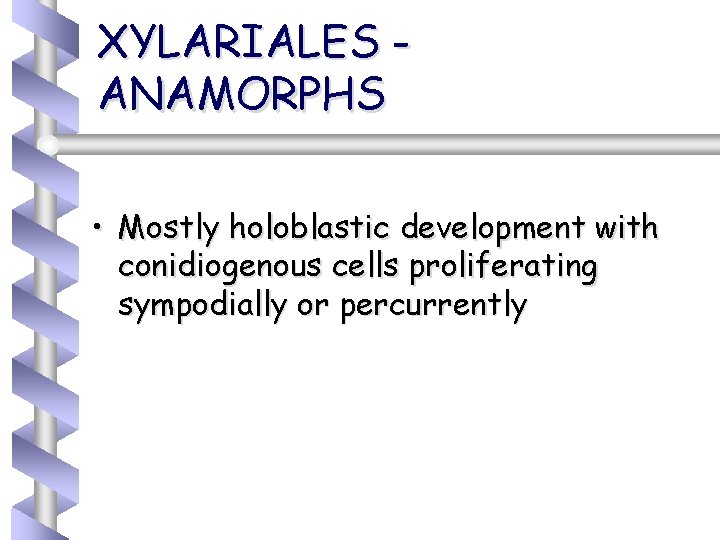 XYLARIALES ANAMORPHS • Mostly holoblastic development with conidiogenous cells proliferating sympodially or percurrently 