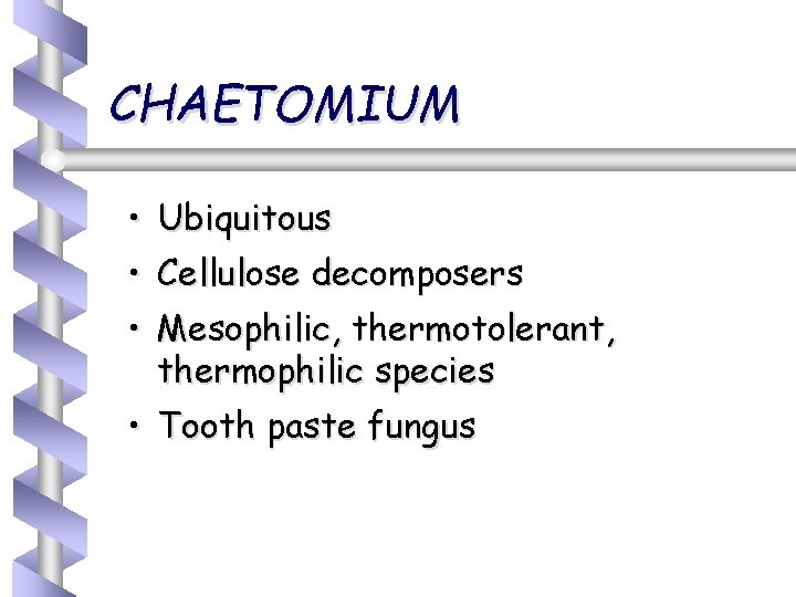 CHAETOMIUM • Ubiquitous • Cellulose decomposers • Mesophilic, thermotolerant, thermophilic species • Tooth paste