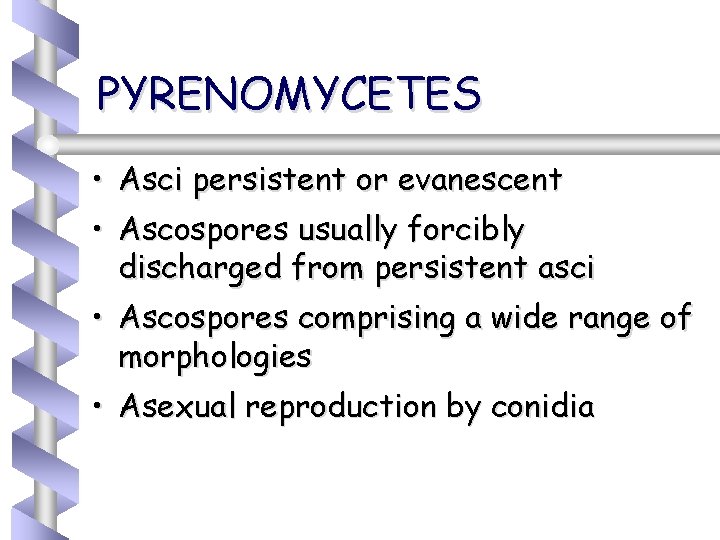 PYRENOMYCETES • Asci persistent or evanescent • Ascospores usually forcibly discharged from persistent asci
