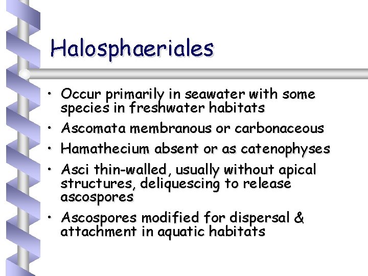Halosphaeriales • Occur primarily in seawater with some species in freshwater habitats • Ascomata