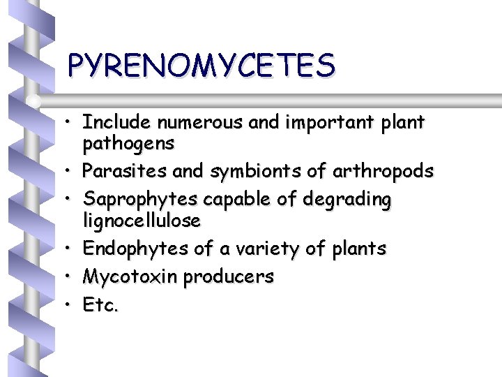 PYRENOMYCETES • Include numerous and important plant pathogens • Parasites and symbionts of arthropods