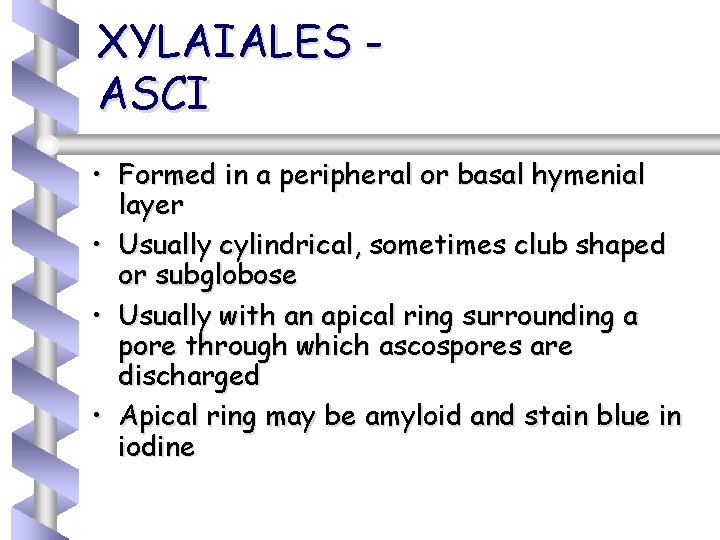 XYLAIALES ASCI • Formed in a peripheral or basal hymenial layer • Usually cylindrical,