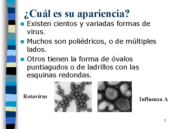 ¿Cuál es su apariencia? Existen cientos y variadas formas de virus. n Muchos son