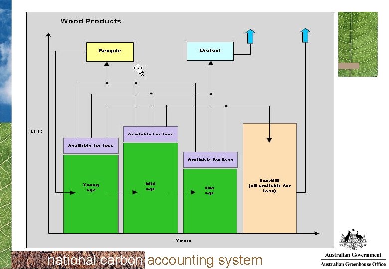 national carbon accounting system 
