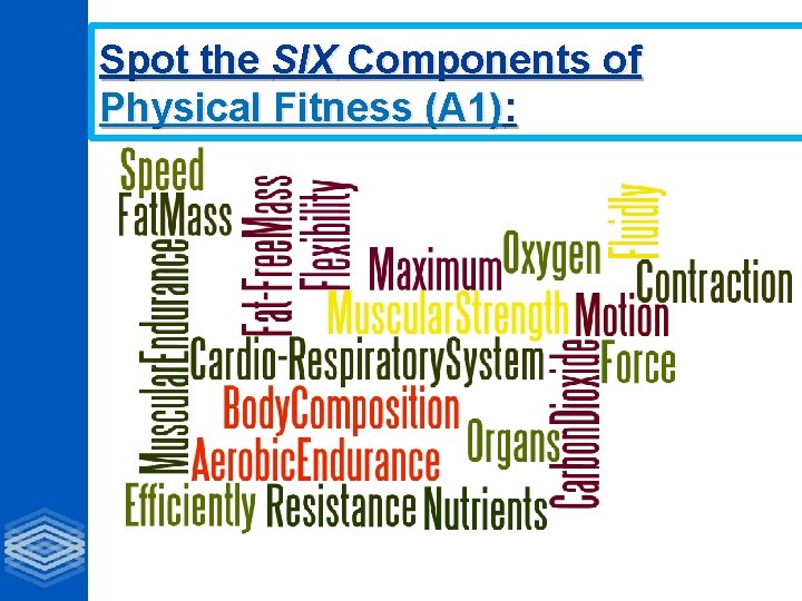 Spot the SIX Components of Physical Fitness (A 1): 