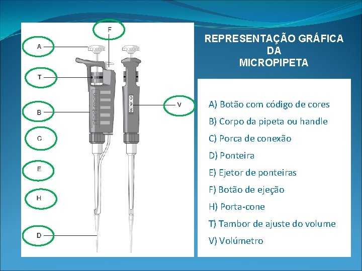 REPRESENTAÇÃO GRÁFICA DA MICROPIPETA A) Botão com código de cores B) Corpo da pipeta