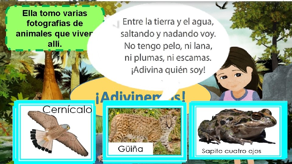 Ella tomo varias Página 98 texto del estudiante fotografías de animales que viven allí.