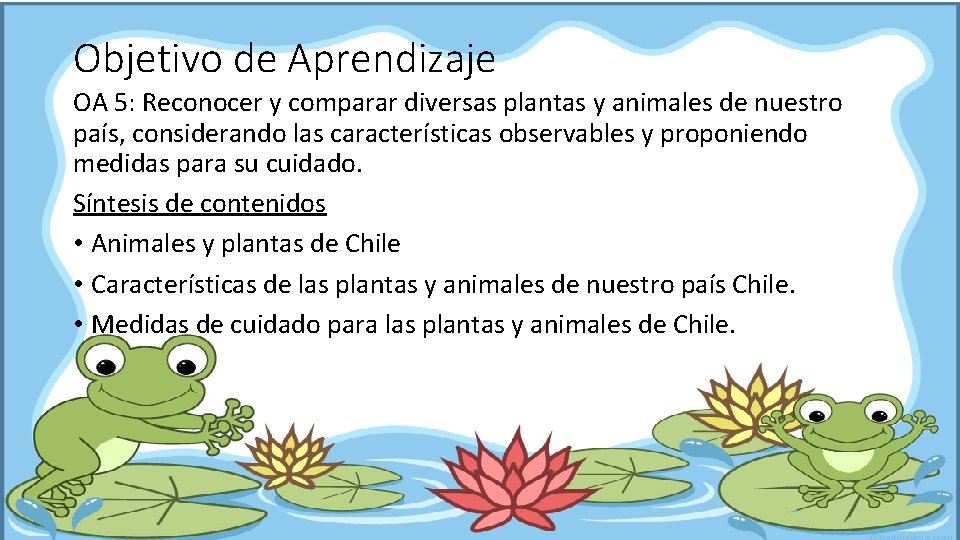 Objetivo de Aprendizaje OA 5: Reconocer y comparar diversas plantas y animales de nuestro