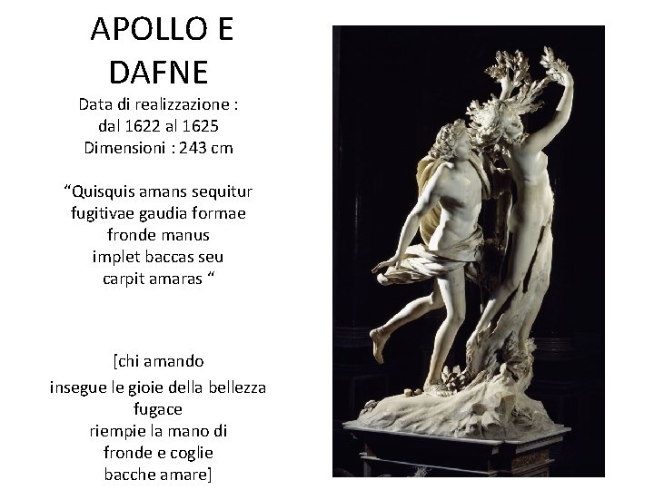 APOLLO E DAFNE Data di realizzazione : dal 1622 al 1625 Dimensioni : 243