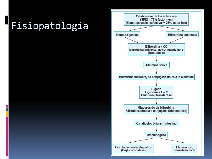 Fisiopatología 