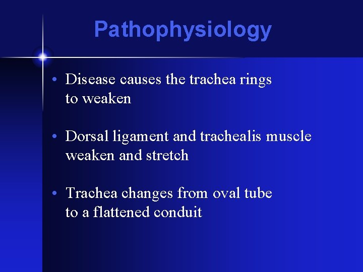 Pathophysiology • Disease causes the trachea rings to weaken • Dorsal ligament and trachealis