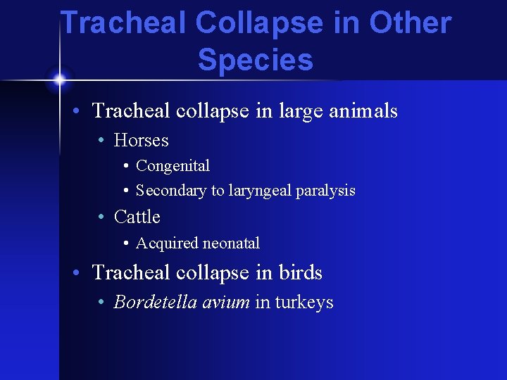 Tracheal Collapse in Other Species • Tracheal collapse in large animals • Horses •