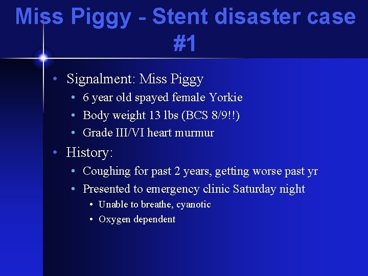 Miss Piggy - Stent disaster case #1 • Signalment: Miss Piggy • 6 year