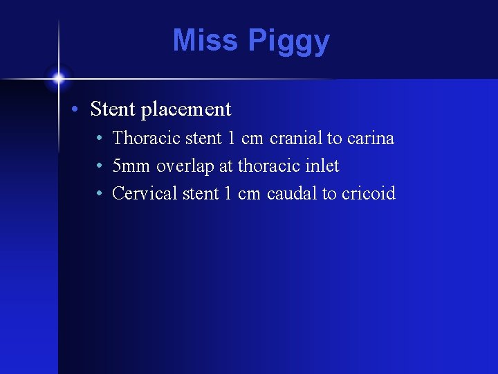 Miss Piggy • Stent placement • Thoracic stent 1 cm cranial to carina •