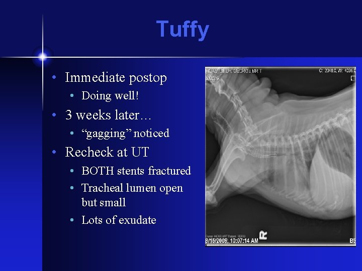 Tuffy • Immediate postop • Doing well! • 3 weeks later… • “gagging” noticed