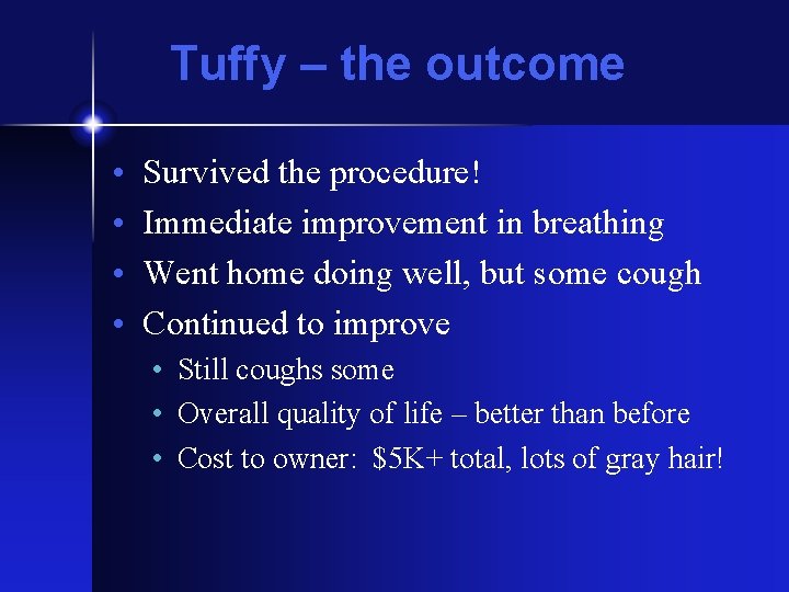 Tuffy – the outcome • • Survived the procedure! Immediate improvement in breathing Went